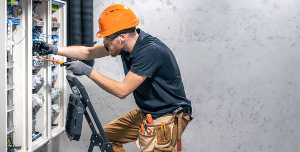 Best Electrical System Inspection  in Lake Of The Woods, IL