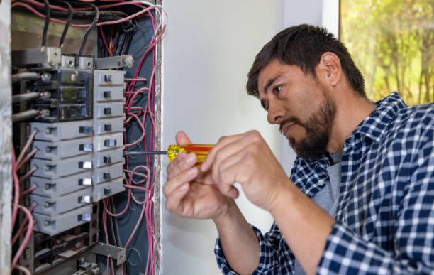 Best Electrical Repair Services  in Lake Of The Woods, IL